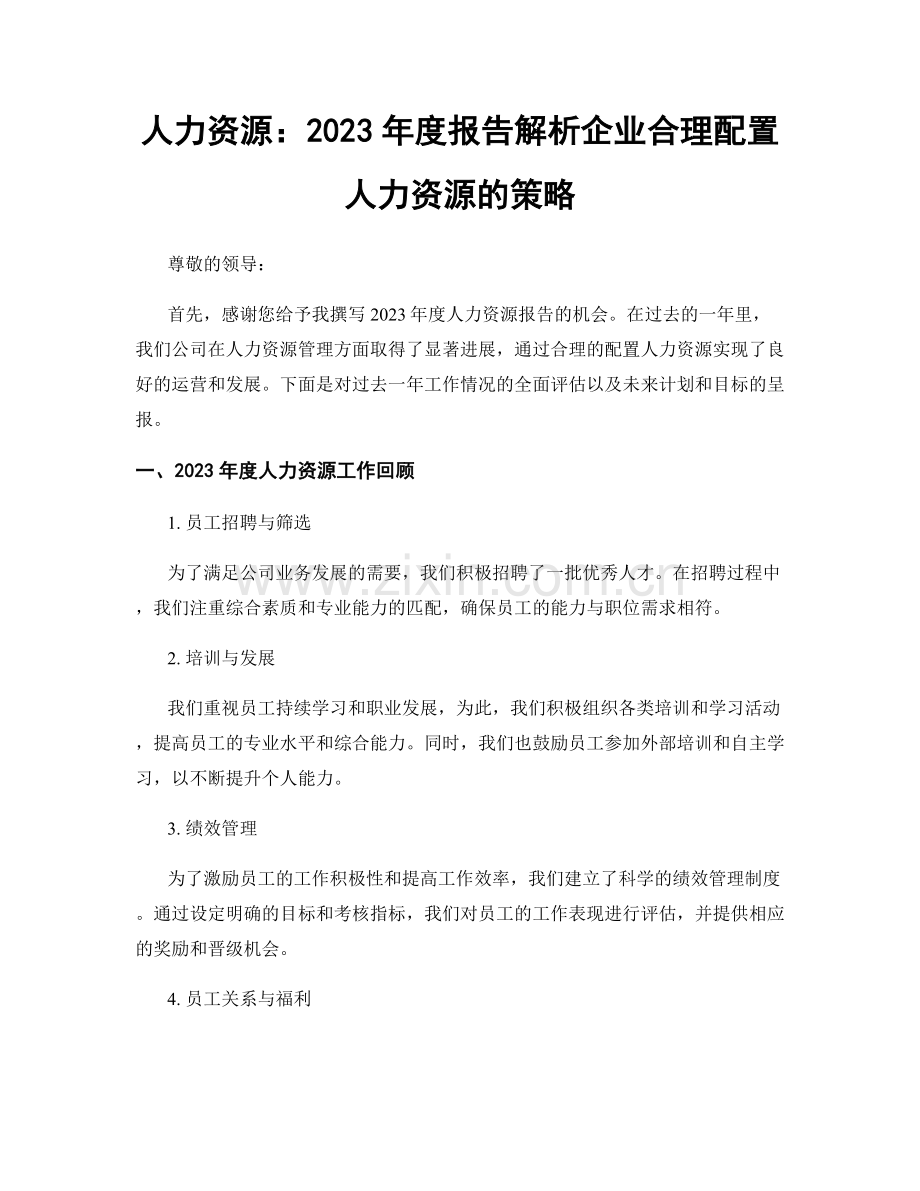 人力资源：2023年度报告解析企业合理配置人力资源的策略.docx_第1页