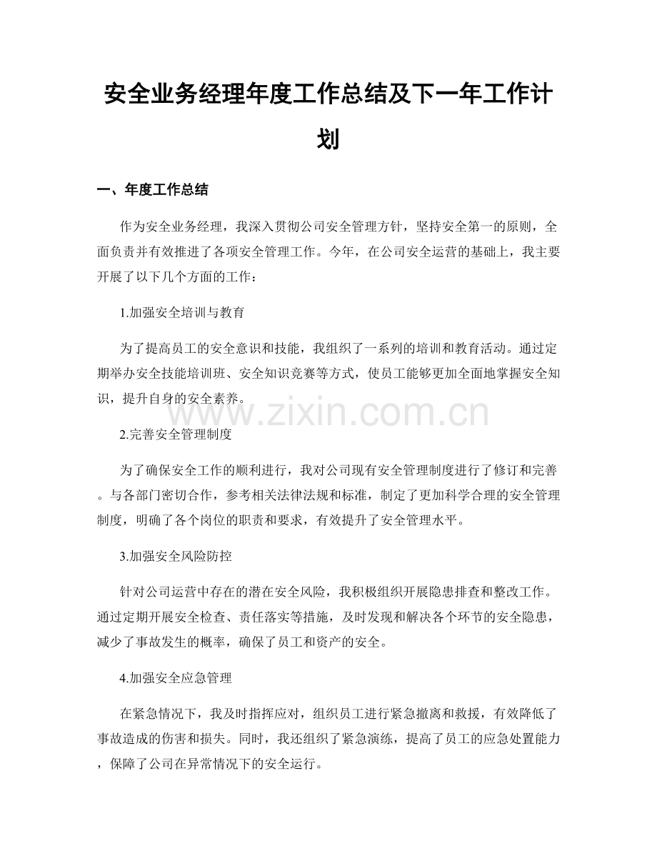 安全业务经理年度工作总结及下一年工作计划.docx_第1页