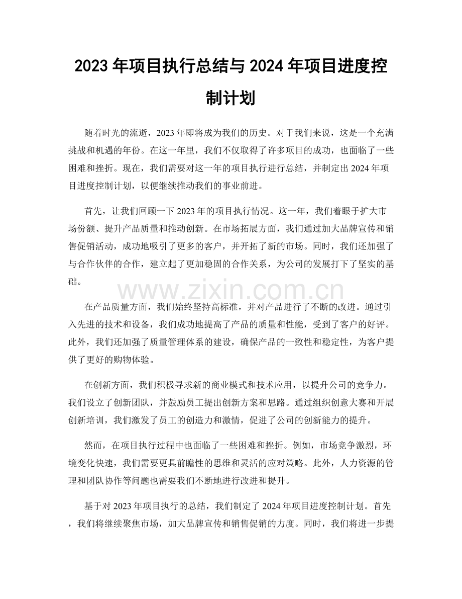 2023年项目执行总结与2024年项目进度控制计划.docx_第1页