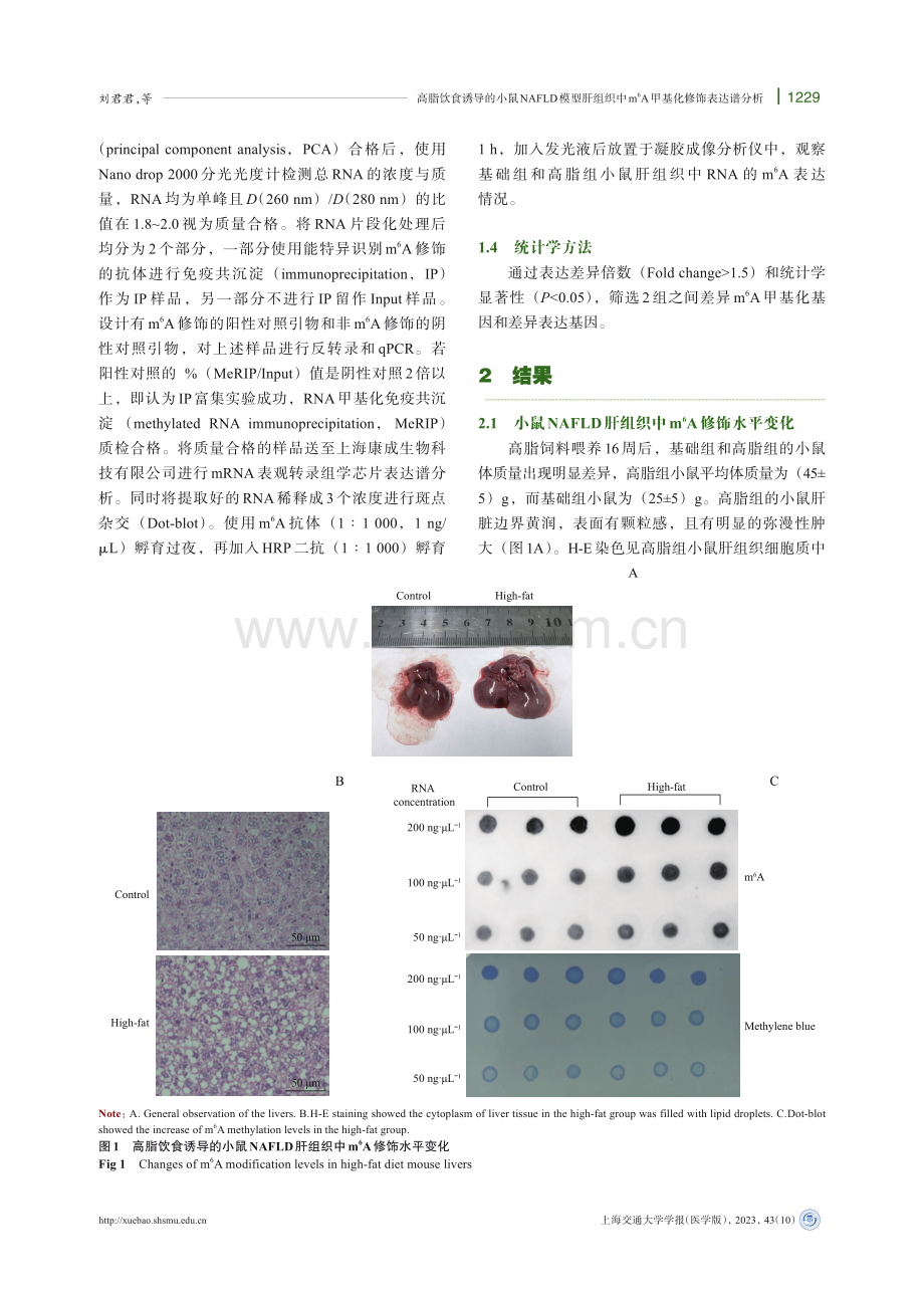 高脂饮食诱导的小鼠NAFLD模型肝组织中m6A甲基化修饰表达谱分析.pdf_第3页