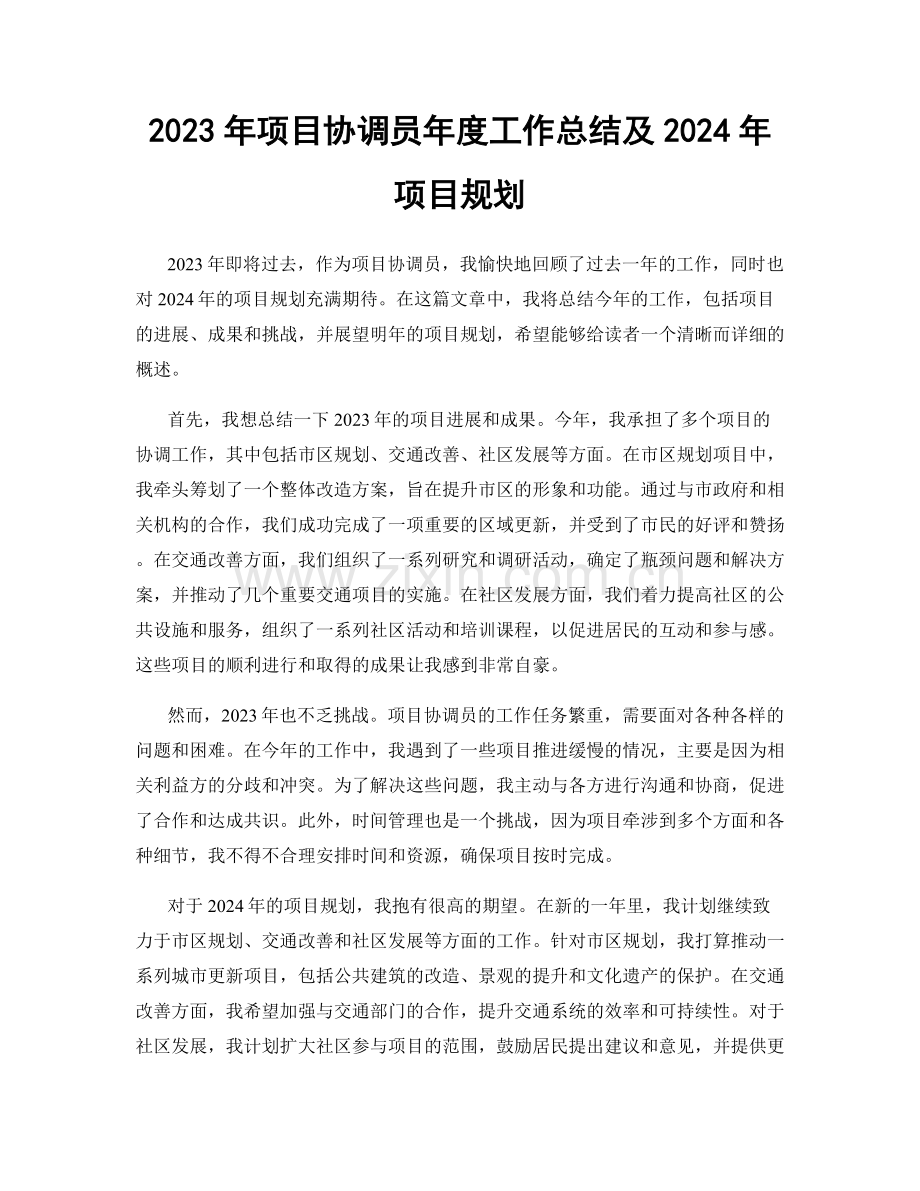 2023年项目协调员年度工作总结及2024年项目规划.docx_第1页