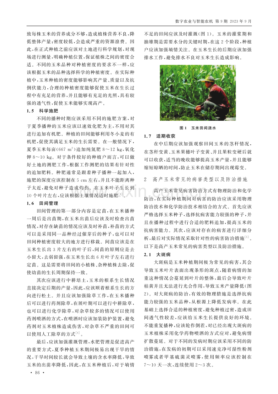 高产玉米种植技术及病虫害防治.pdf_第2页