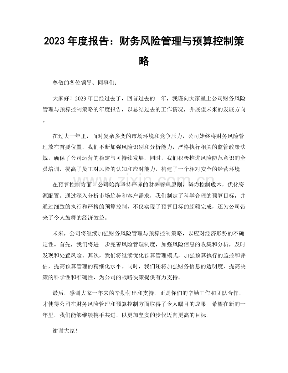 2023年度报告：财务风险管理与预算控制策略.docx_第1页