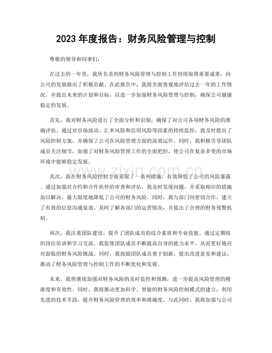 2023年度报告：财务风险管理与控制.docx_第1页