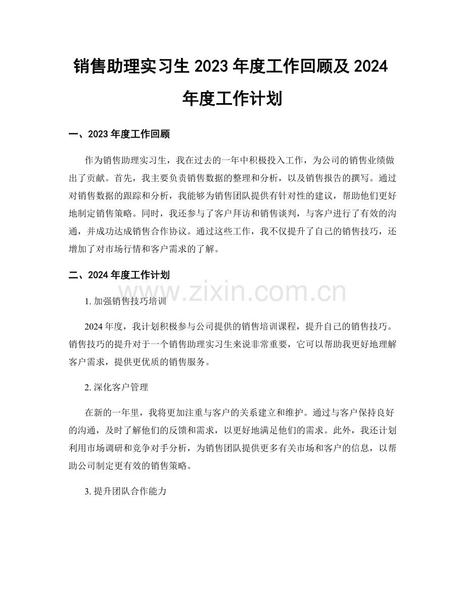 销售助理实习生2023年度工作回顾及2024年度工作计划.docx_第1页