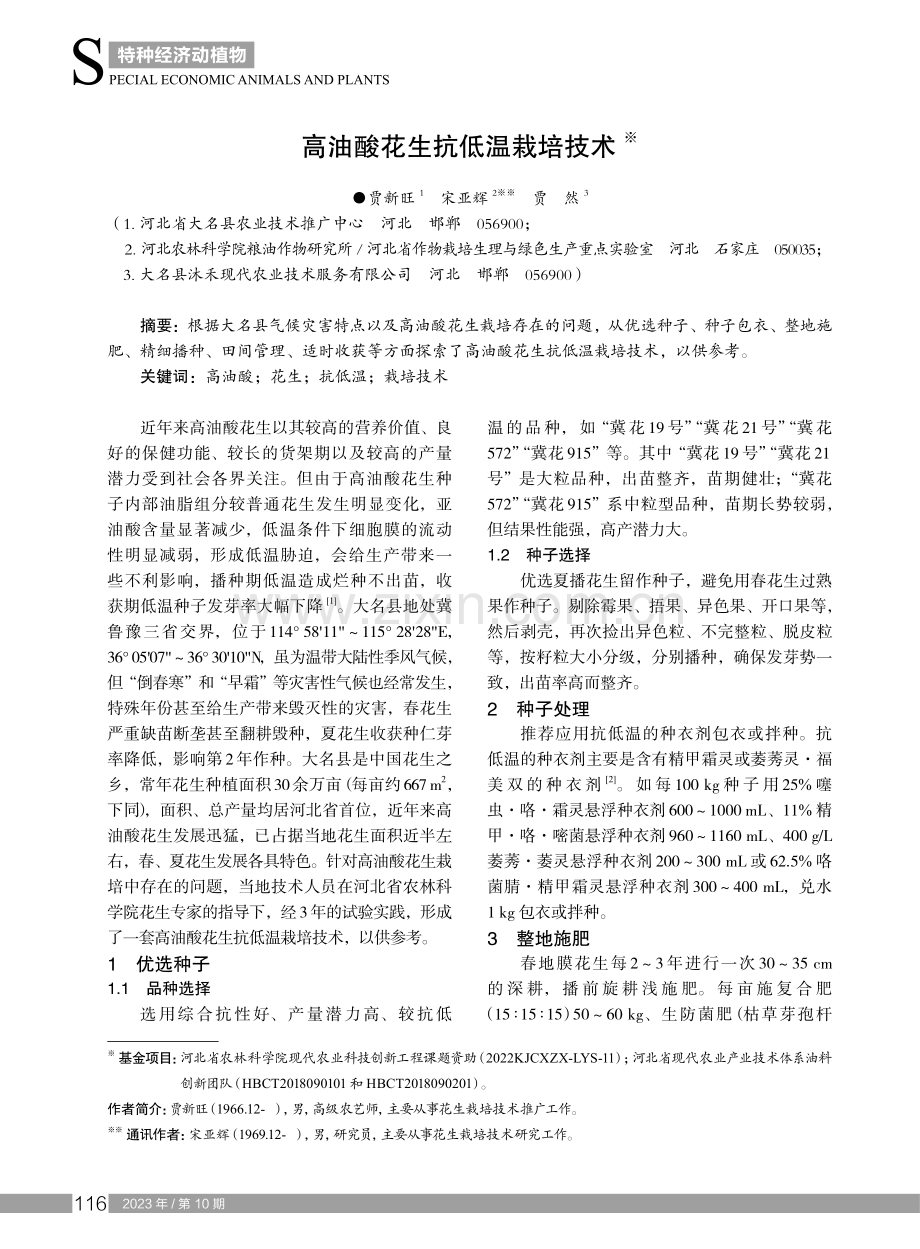 高油酸花生抗低温栽培技术.pdf_第1页