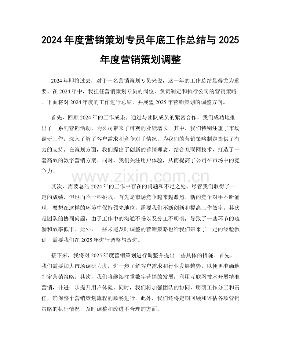 2024年度营销策划专员年底工作总结与2025年度营销策划调整.docx_第1页