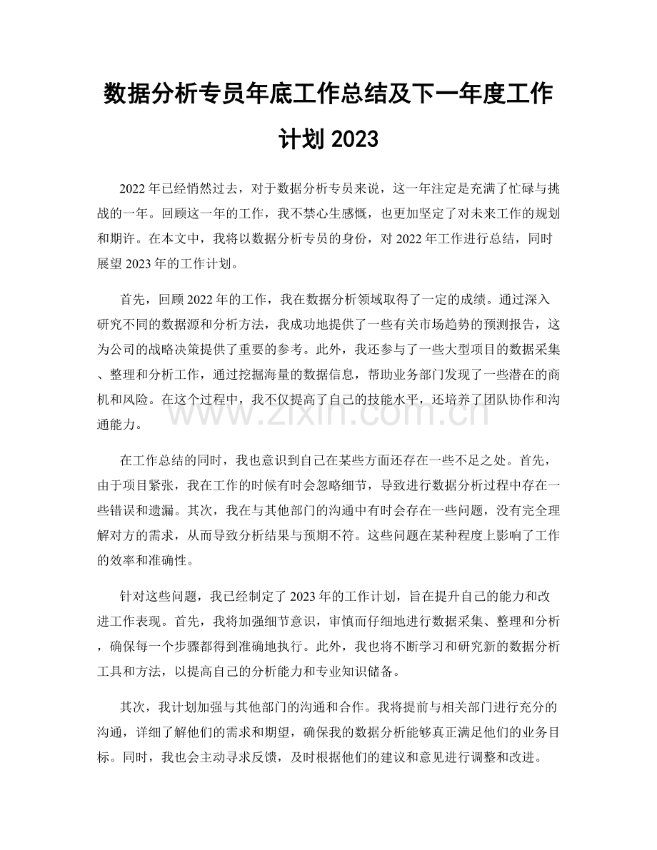 数据分析专员年底工作总结及下一年度工作计划2023.docx_第1页