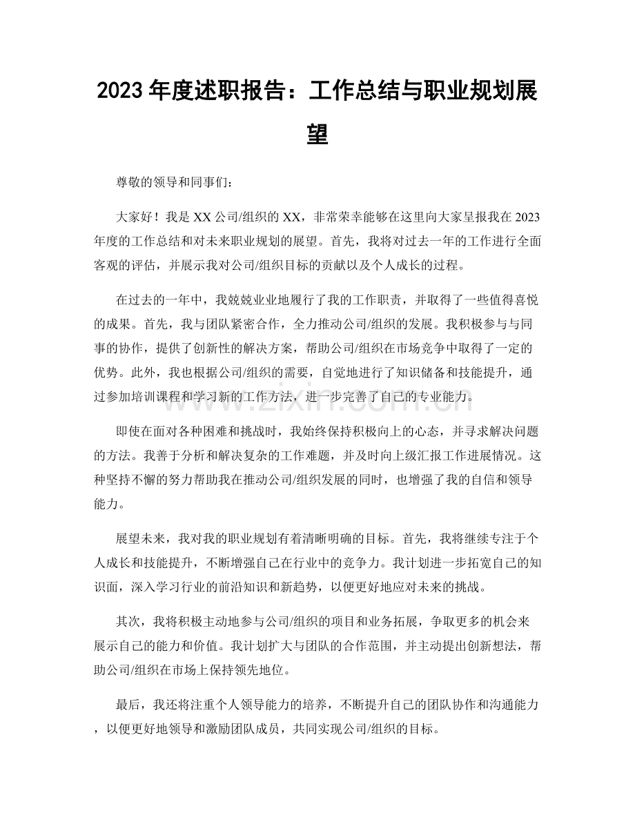 2023年度述职报告：工作总结与职业规划展望.docx_第1页