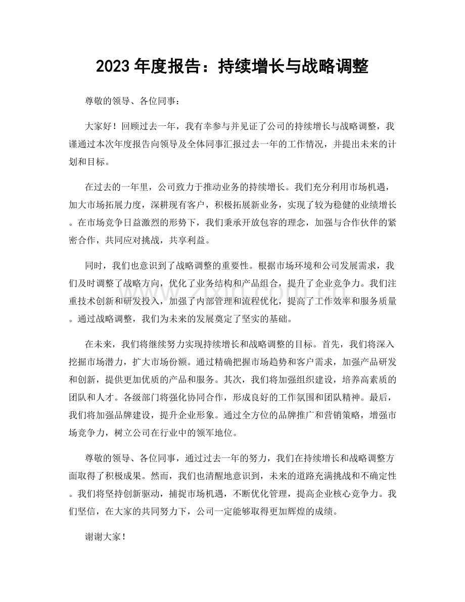 2023年度报告：持续增长与战略调整.docx_第1页