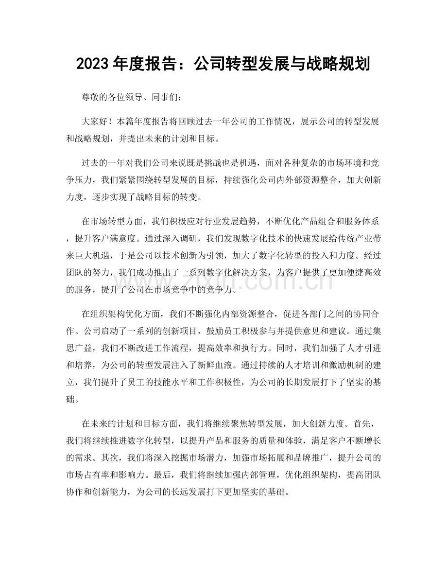 2023年度报告：公司转型发展与战略规划.docx_第1页