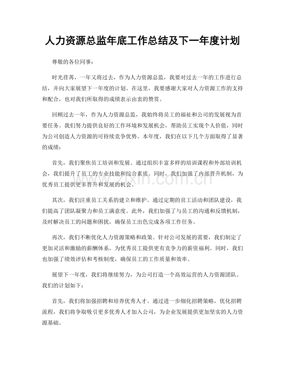 人力资源总监年底工作总结及下一年度计划.docx_第1页