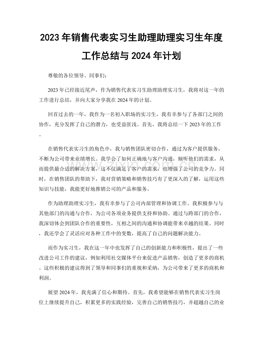 2023年销售代表实习生助理助理实习生年度工作总结与2024年计划.docx_第1页