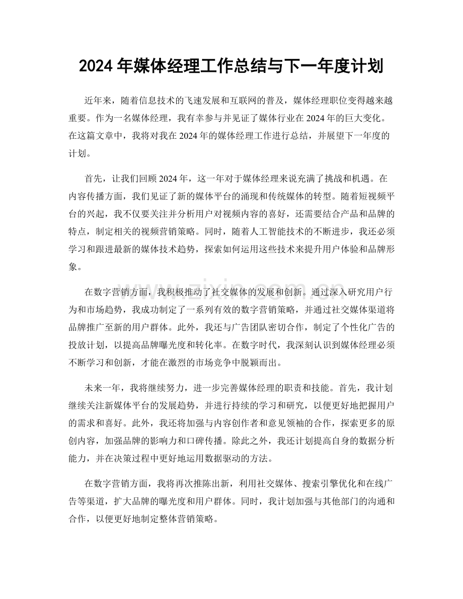 2024年媒体经理工作总结与下一年度计划.docx_第1页