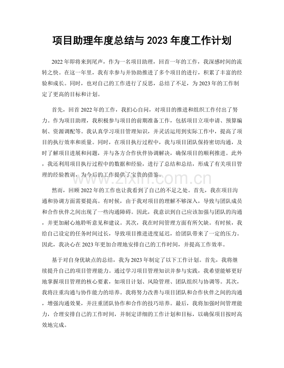 项目助理年度总结与2023年度工作计划.docx_第1页