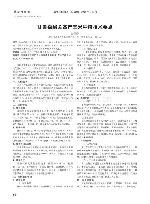 甘肃嘉峪关高产玉米种植技术要点.pdf