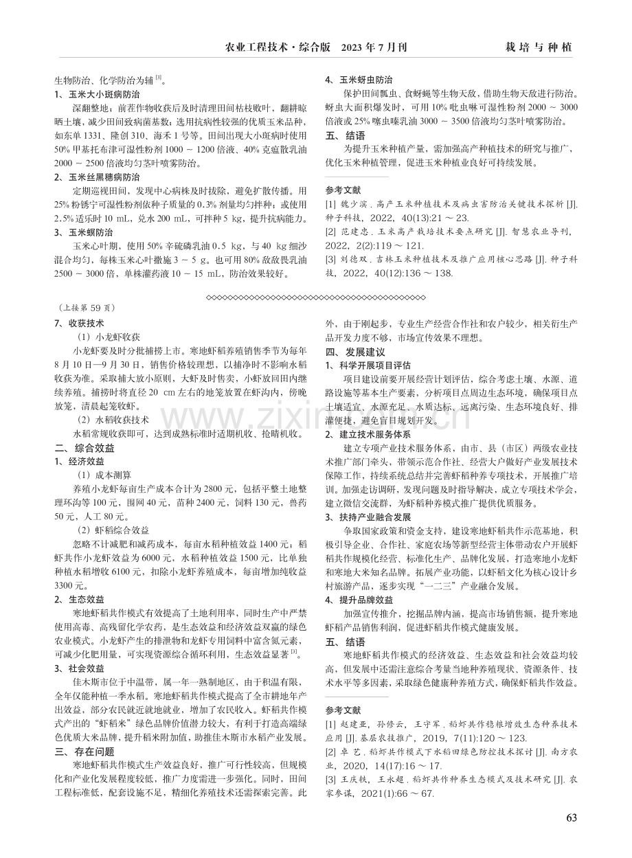 甘肃嘉峪关高产玉米种植技术要点.pdf_第2页