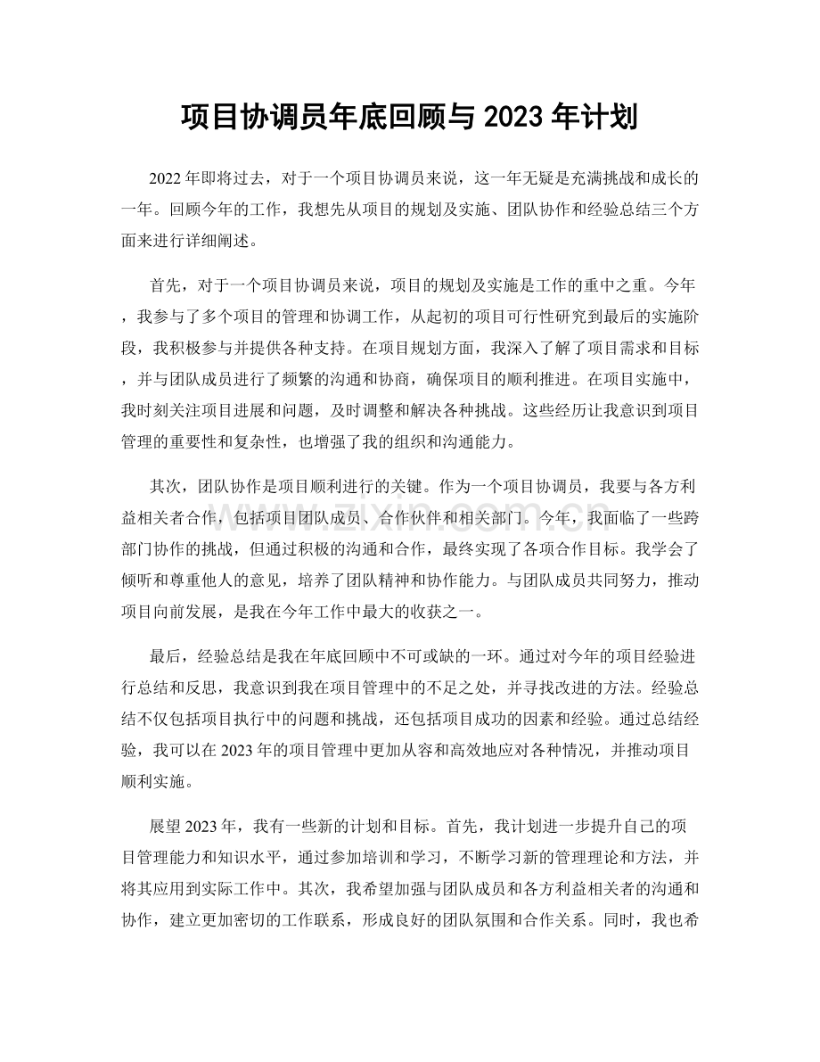 项目协调员年底回顾与2023年计划.docx_第1页