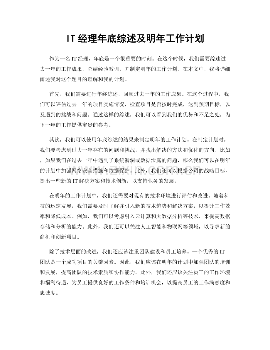 IT经理年底综述及明年工作计划.docx_第1页