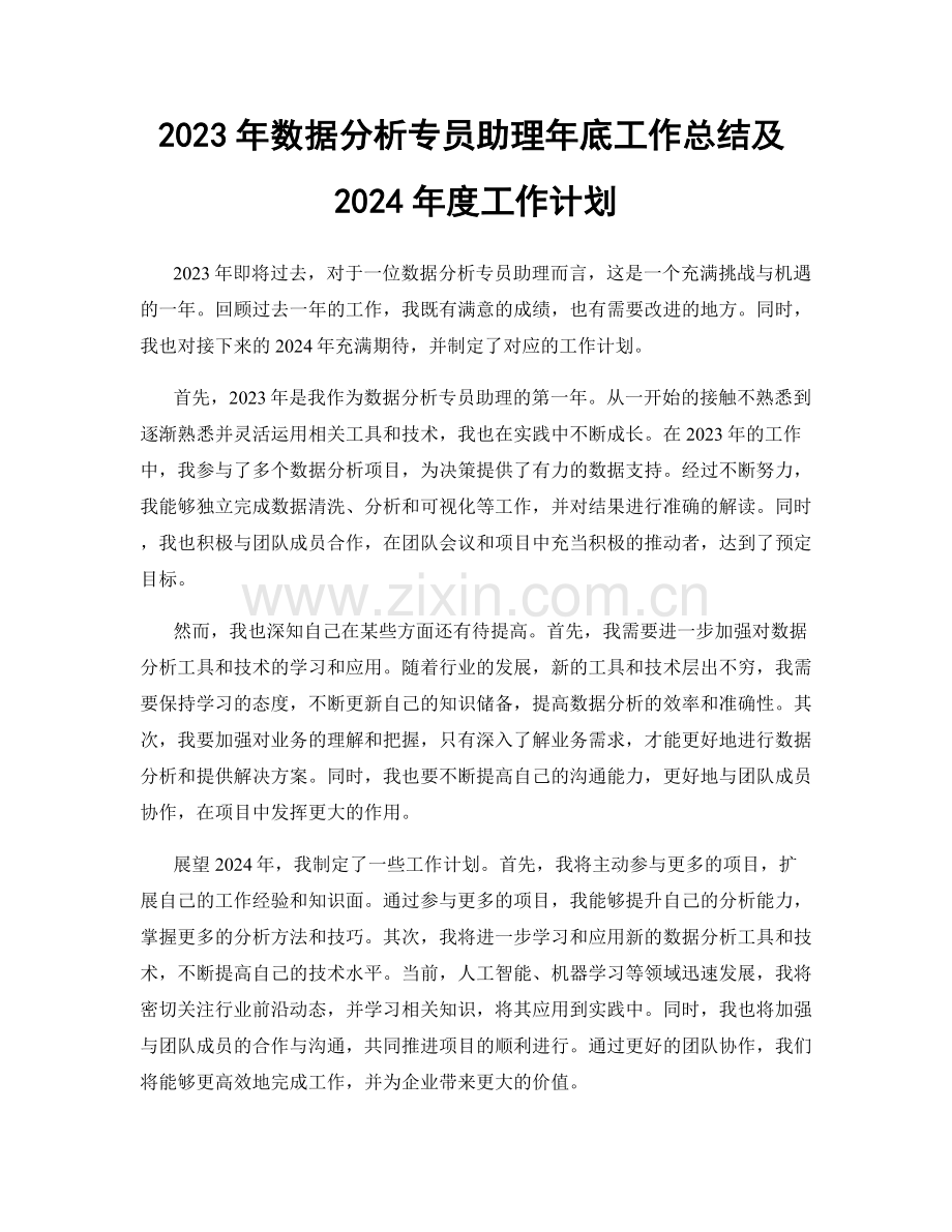 2023年数据分析专员助理年底工作总结及2024年度工作计划.docx_第1页