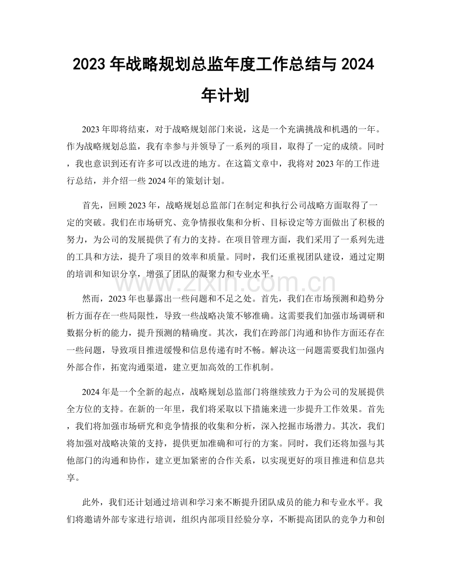 2023年战略规划总监年度工作总结与2024年计划.docx_第1页