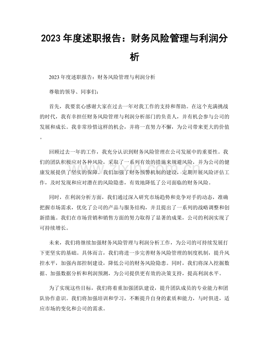 2023年度述职报告：财务风险管理与利润分析.docx_第1页