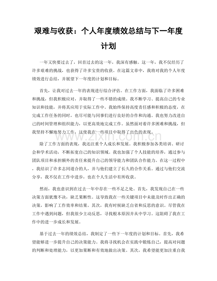 艰难与收获：个人年度绩效总结与下一年度计划.docx_第1页