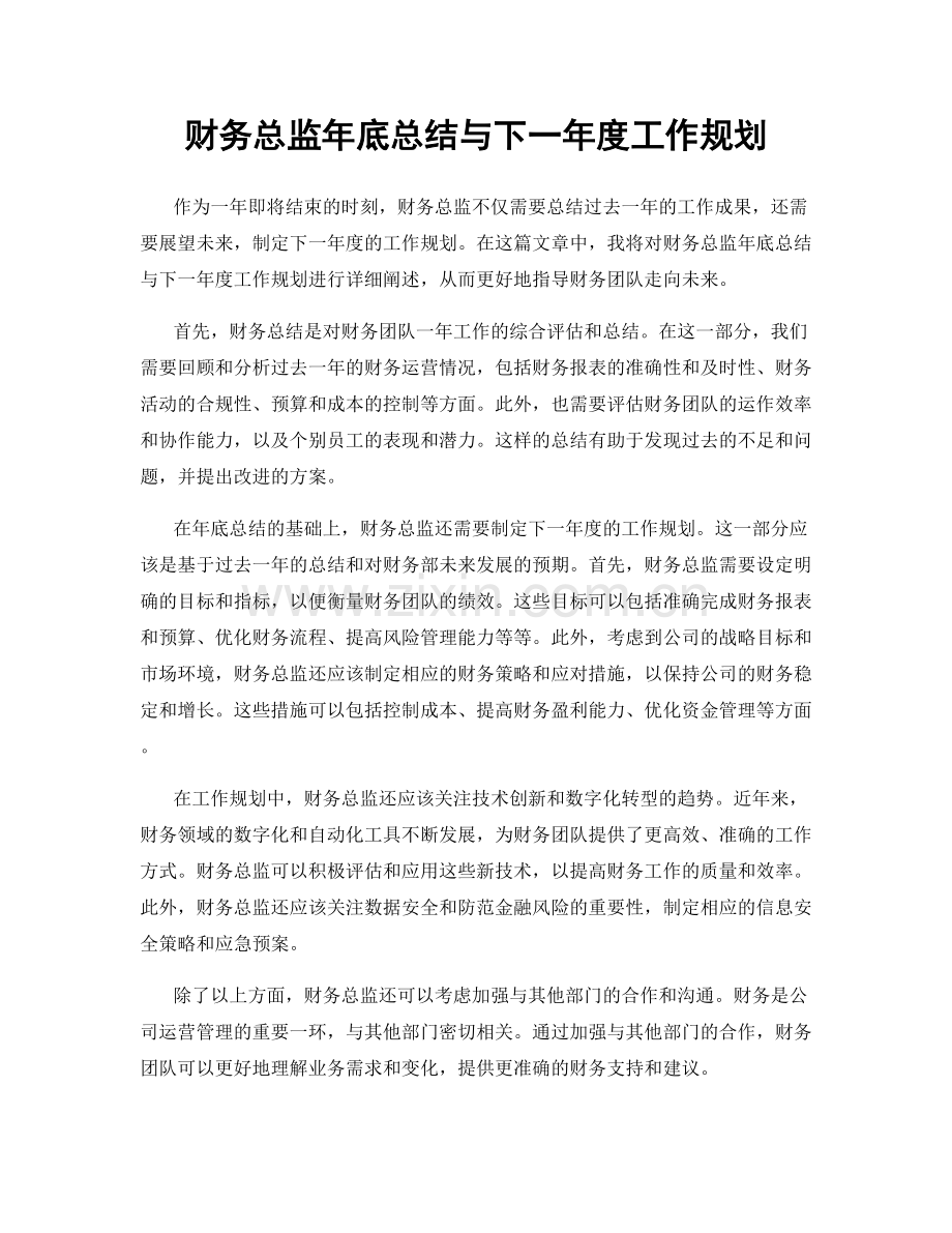 财务总监年底总结与下一年度工作规划.docx_第1页