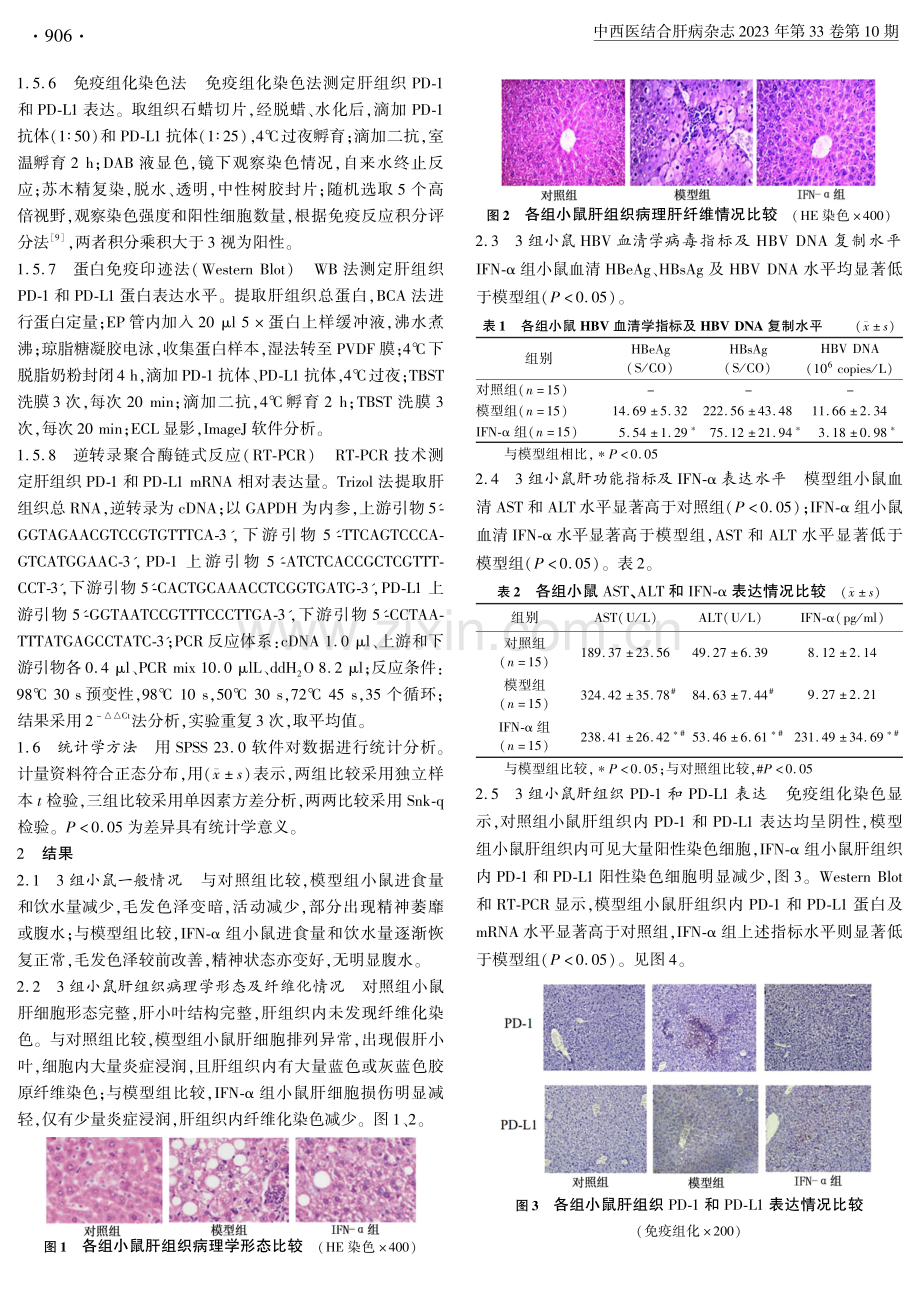 干扰素-α通过PD-1_PD-L1途径减轻HBV感染引起的肝组织损伤和肝纤维化.pdf_第3页