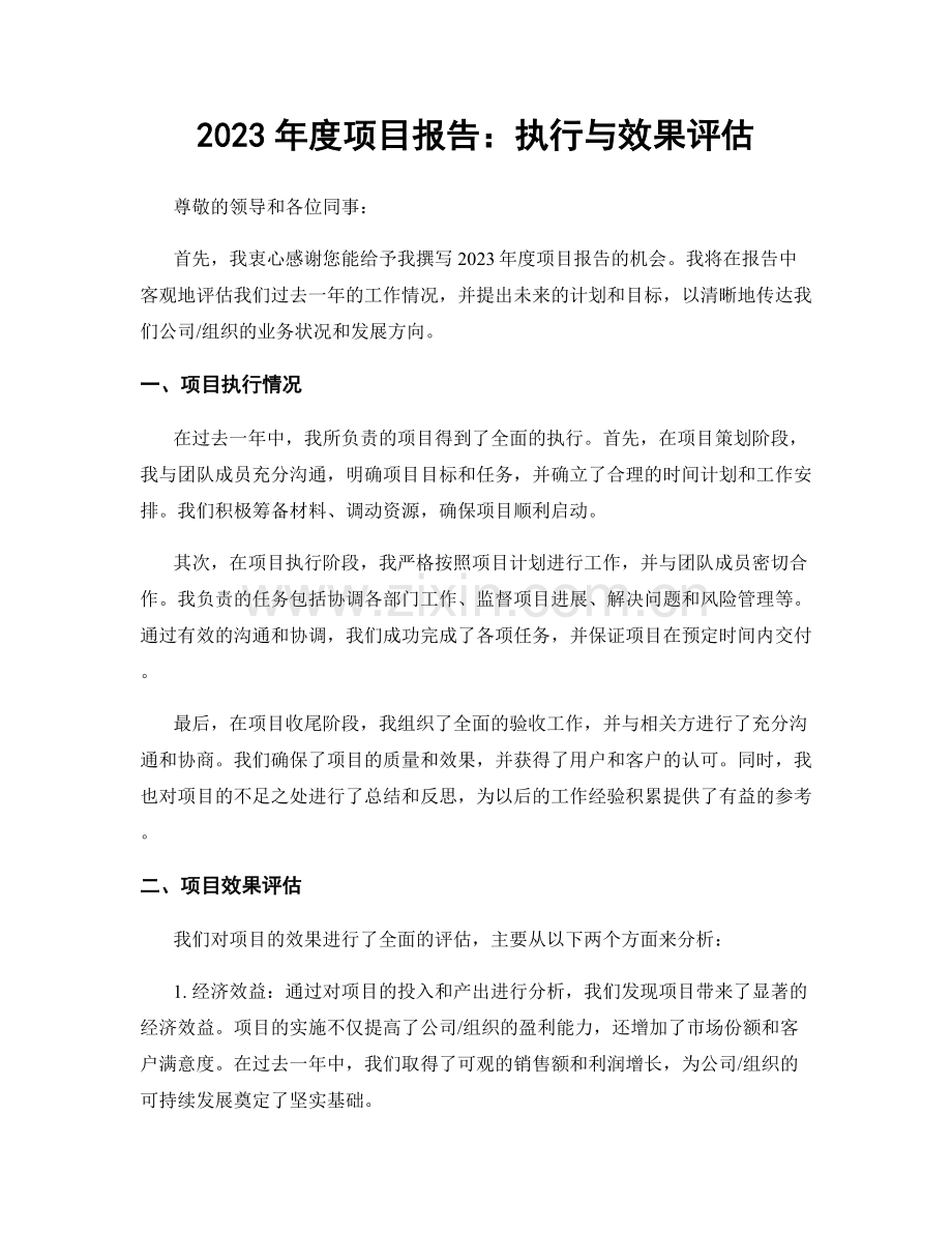 2023年度项目报告：执行与效果评估.docx_第1页