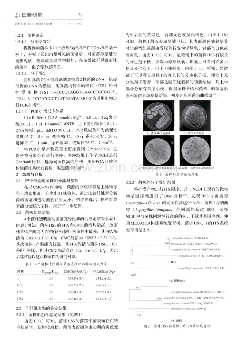 高产纤维素酶真菌的筛选鉴定与紫外诱变选育研究.pdf_第3页