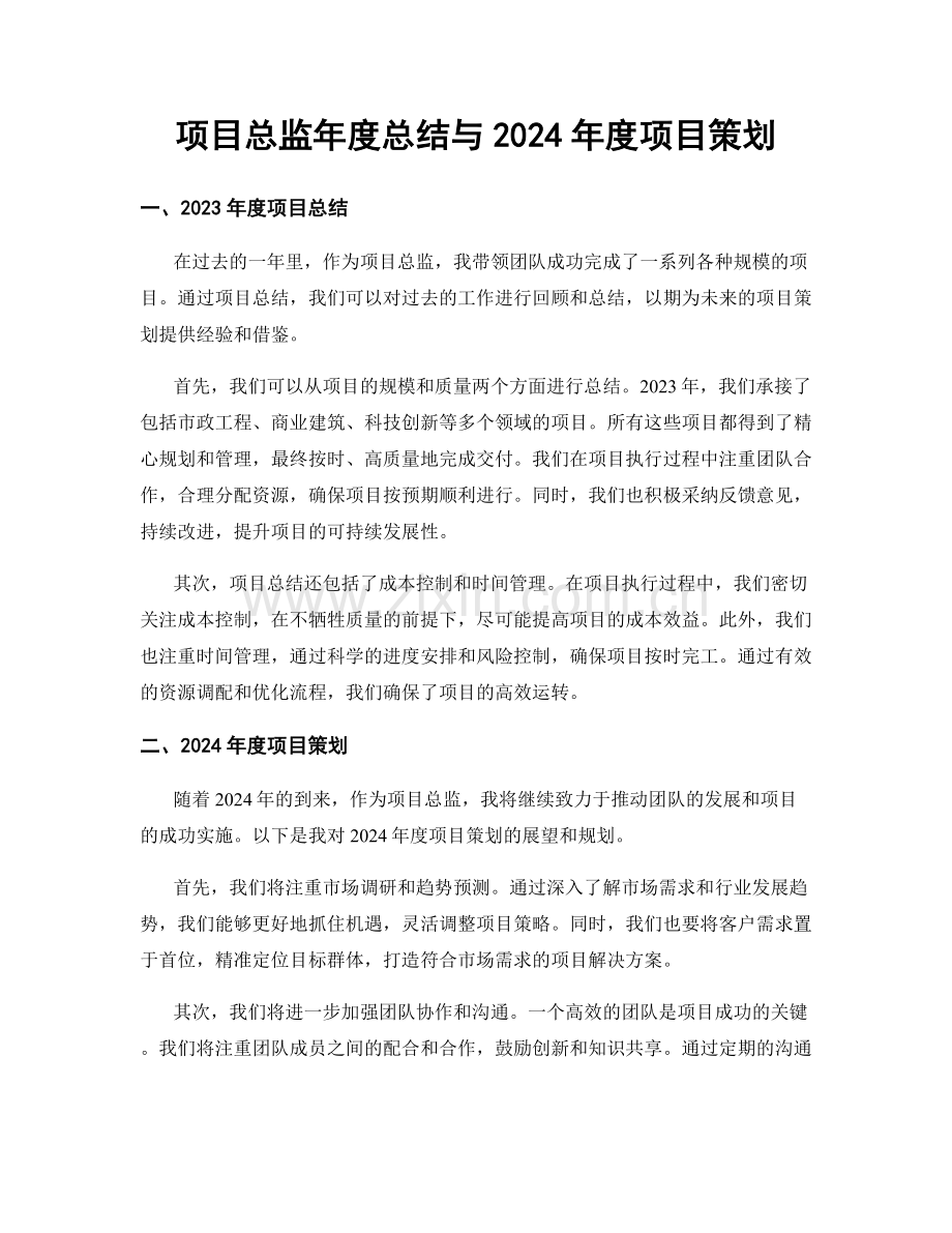 项目总监年度总结与2024年度项目策划.docx_第1页