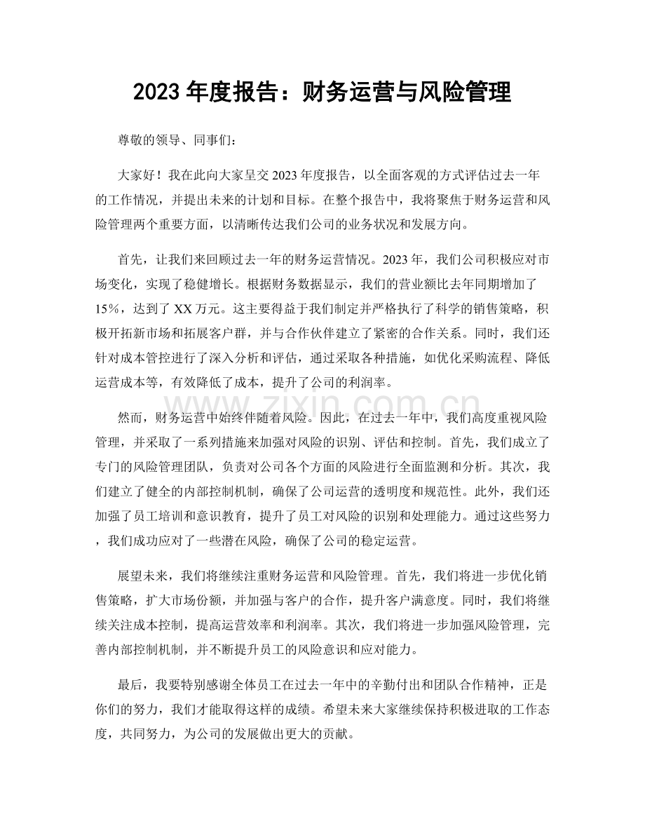 2023年度报告：财务运营与风险管理.docx_第1页