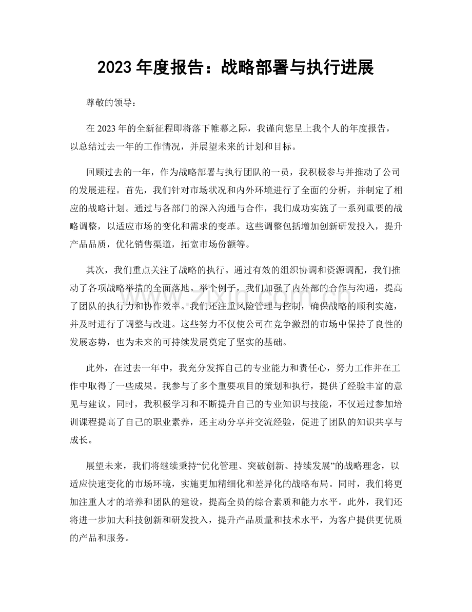 2023年度报告：战略部署与执行进展.docx_第1页