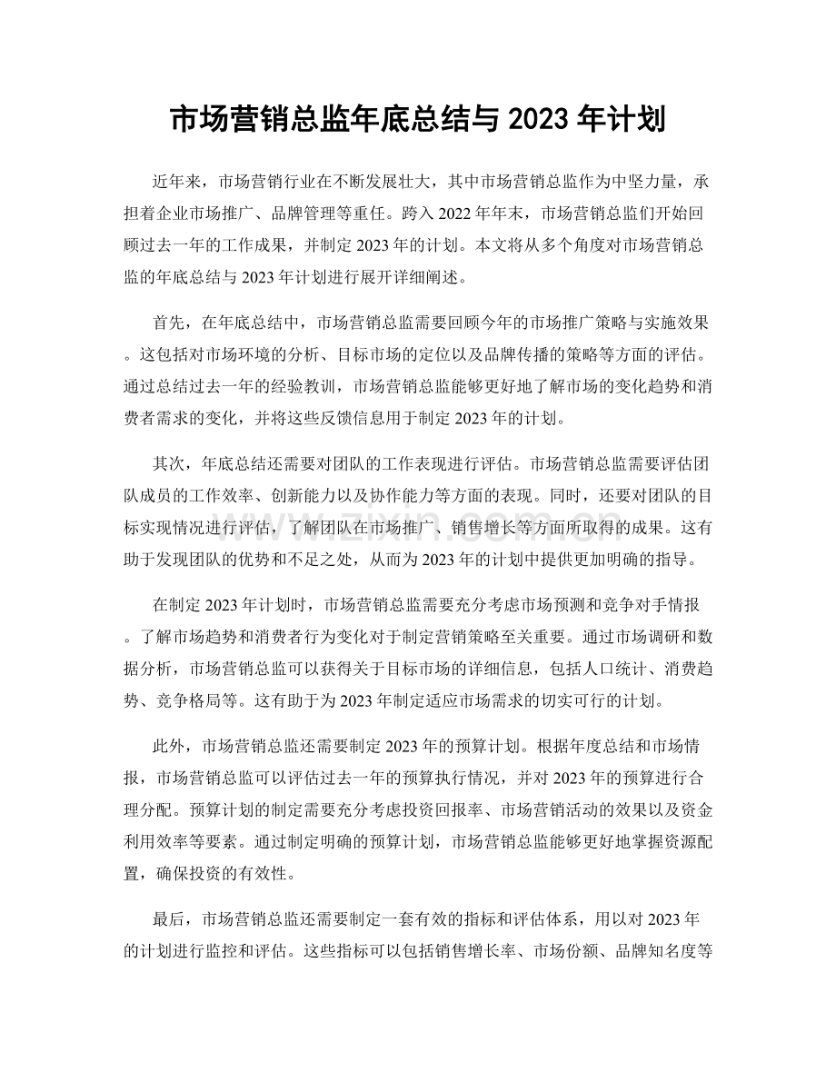 市场营销总监年底总结与2023年计划.docx_第1页