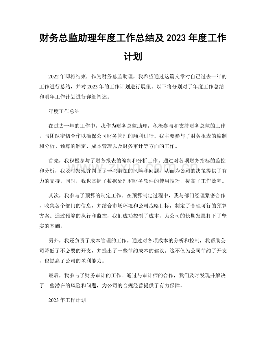 财务总监助理年度工作总结及2023年度工作计划.docx_第1页