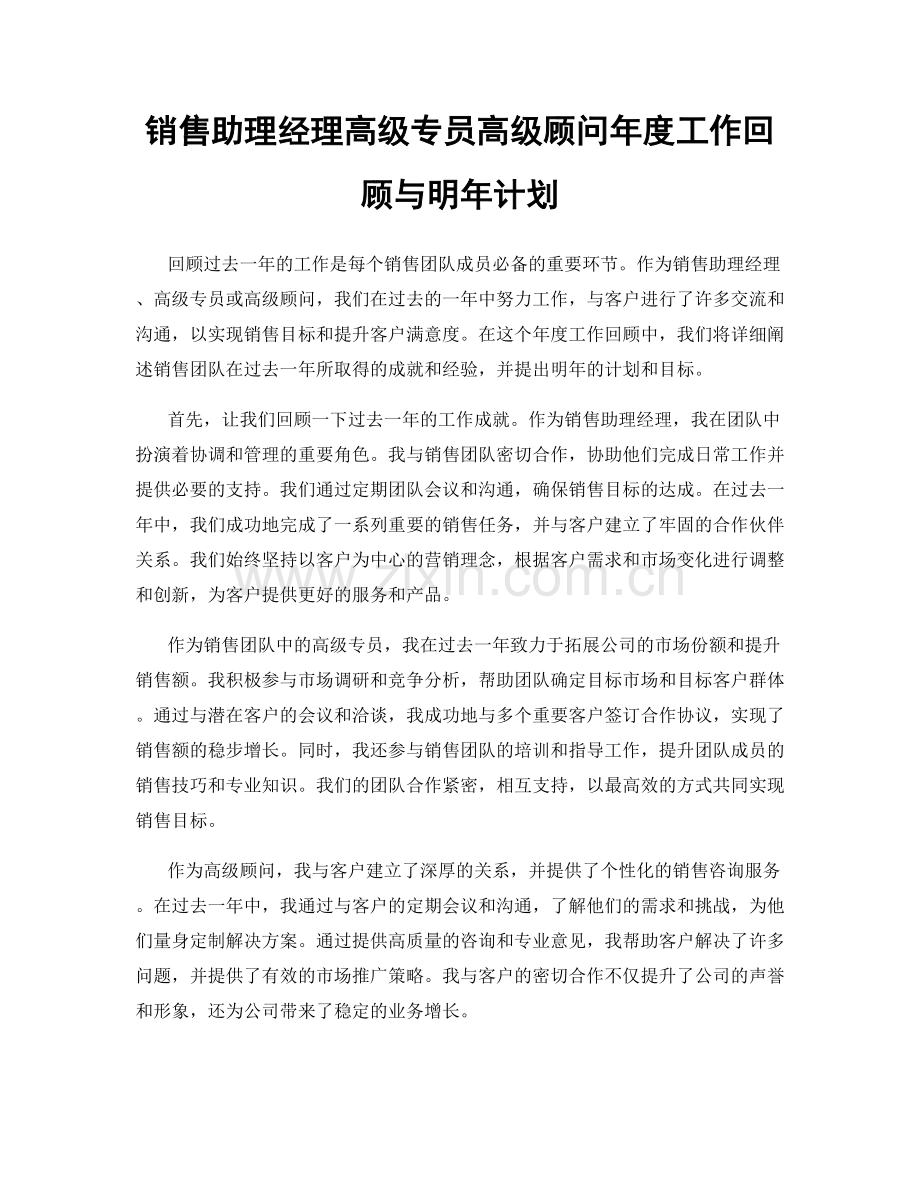 销售助理经理高级专员高级顾问年度工作回顾与明年计划.docx_第1页