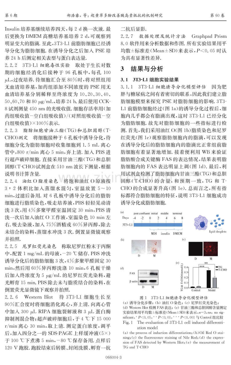 赶黄草多酚改善胰岛素抵抗的机制研究.pdf_第3页