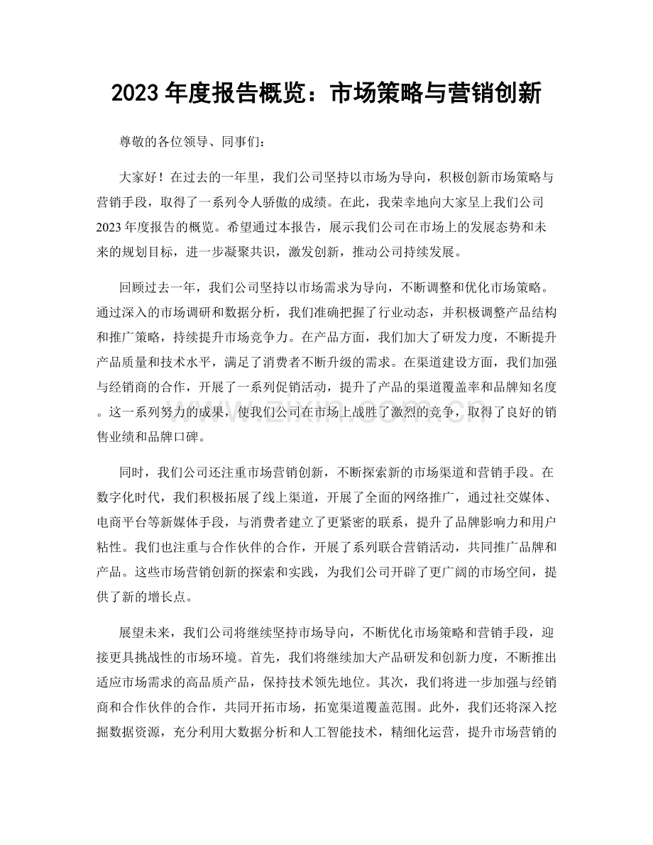 2023年度报告概览：市场策略与营销创新.docx_第1页