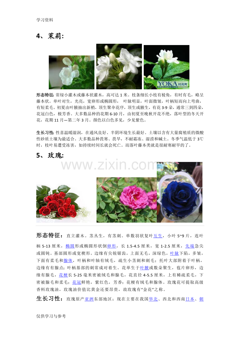 常见灌木类植物复习过程.doc_第3页