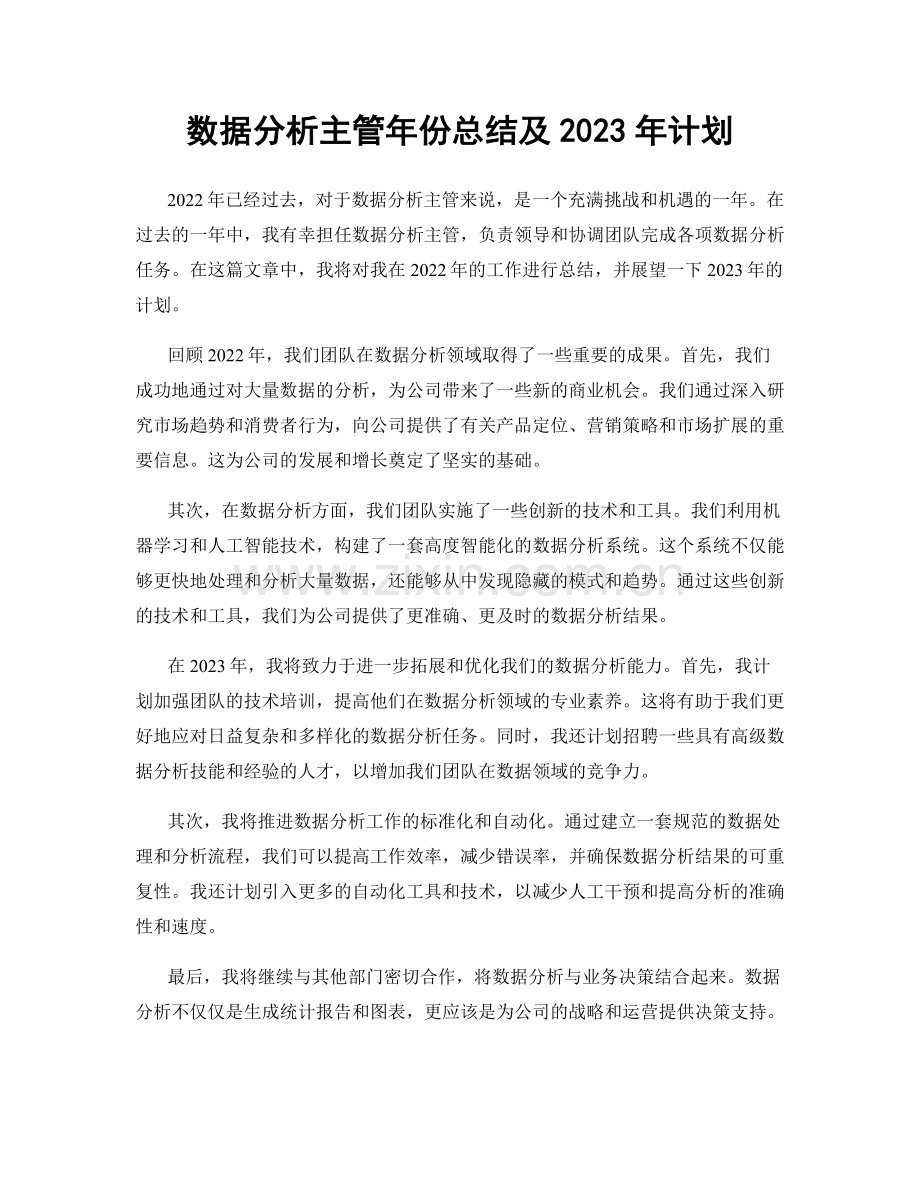 数据分析主管年份总结及2023年计划.docx_第1页