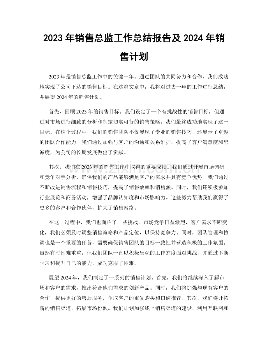 2023年销售总监工作总结报告及2024年销售计划.docx_第1页