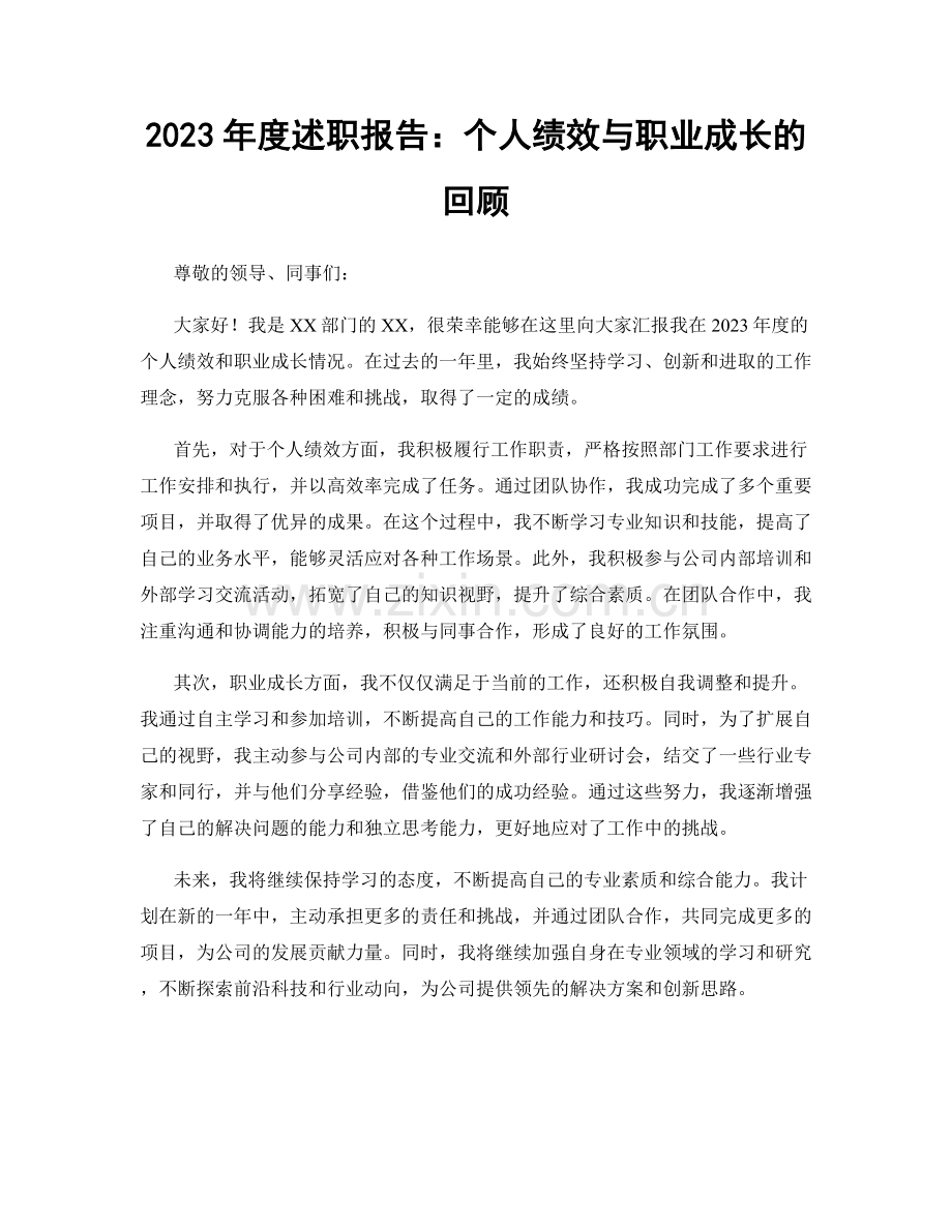 2023年度述职报告：个人绩效与职业成长的回顾.docx_第1页