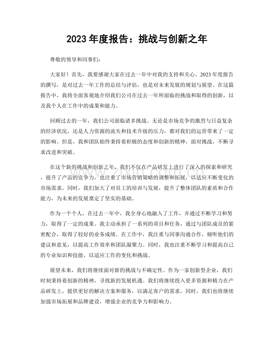 2023年度报告：挑战与创新之年.docx_第1页