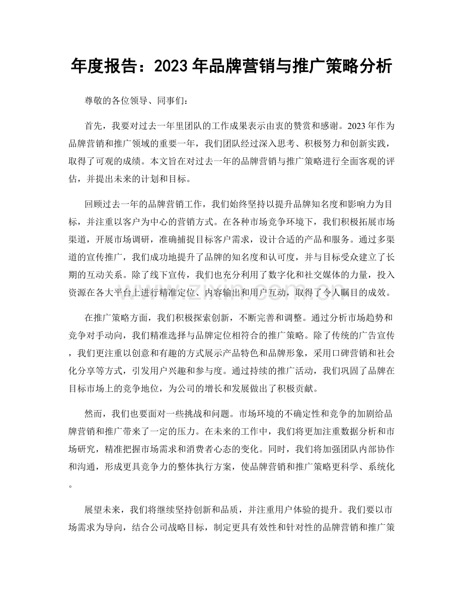 年度报告：2023年品牌营销与推广策略分析.docx_第1页