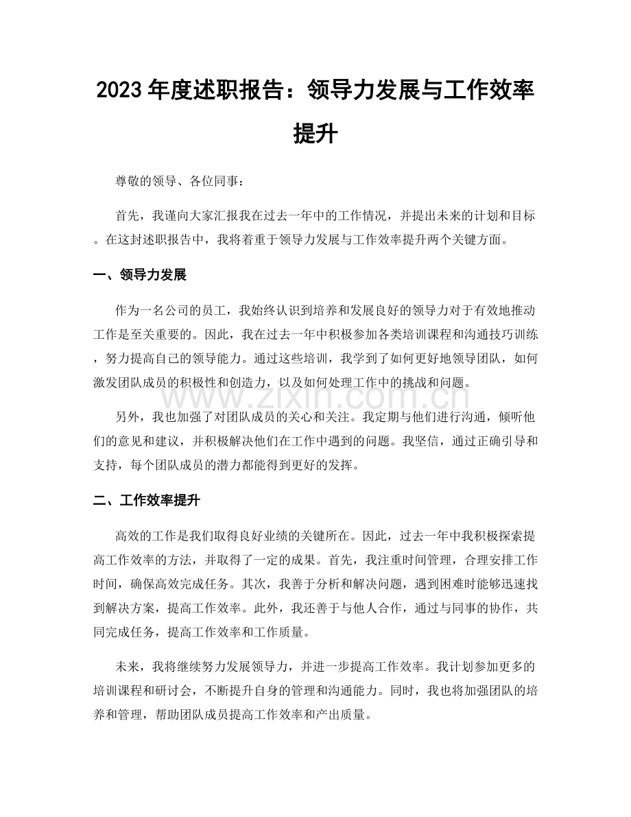 2023年度述职报告：领导力发展与工作效率提升.docx_第1页