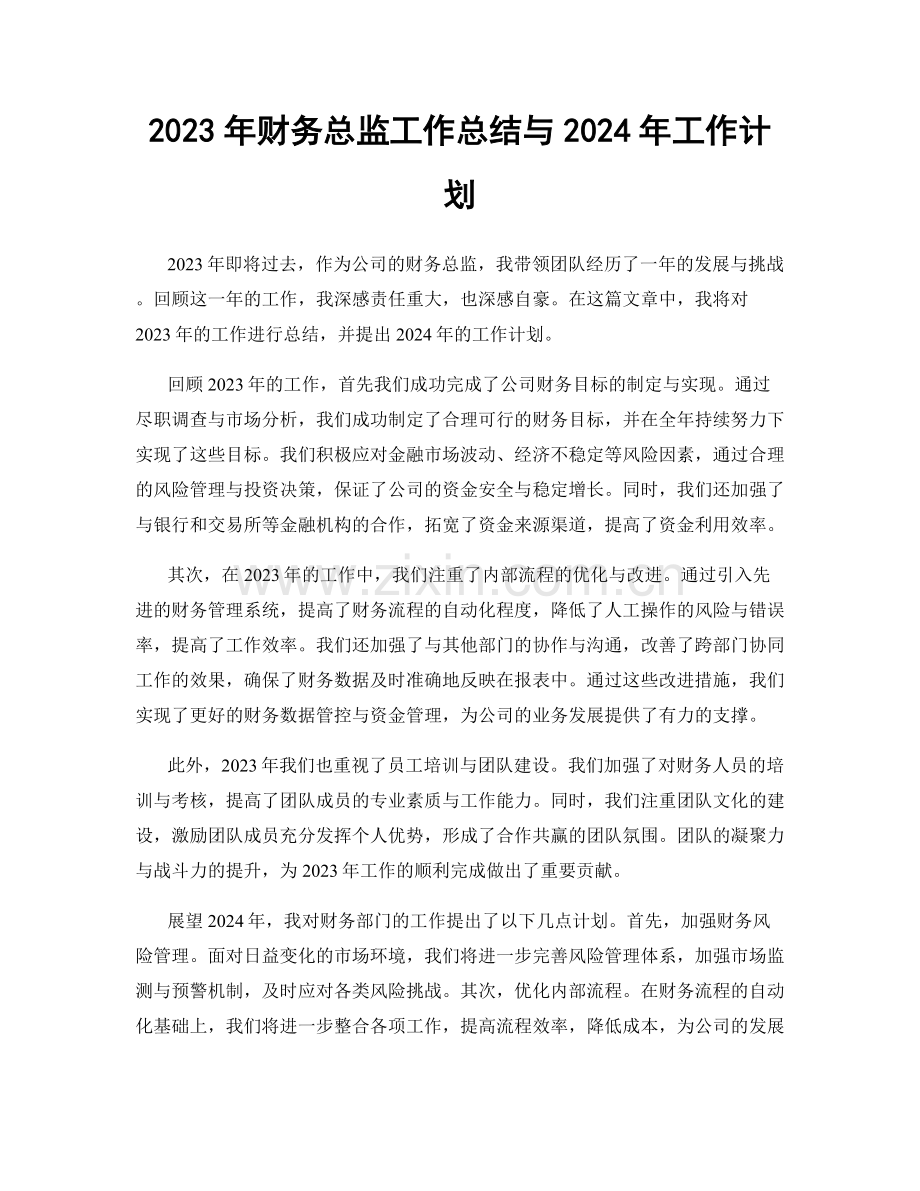 2023年财务总监工作总结与2024年工作计划.docx_第1页