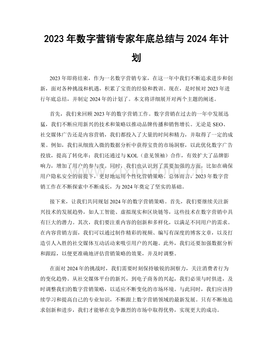 2023年数字营销专家年底总结与2024年计划.docx_第1页