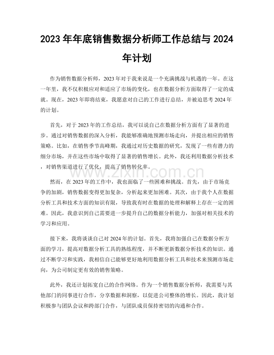 2023年年底销售数据分析师工作总结与2024年计划.docx_第1页