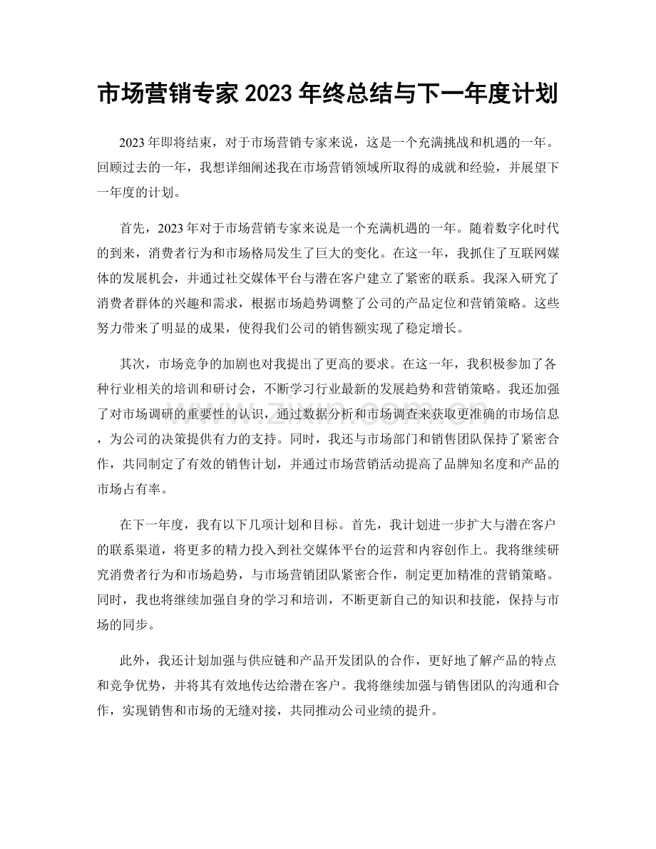 市场营销专家2023年终总结与下一年度计划.docx_第1页